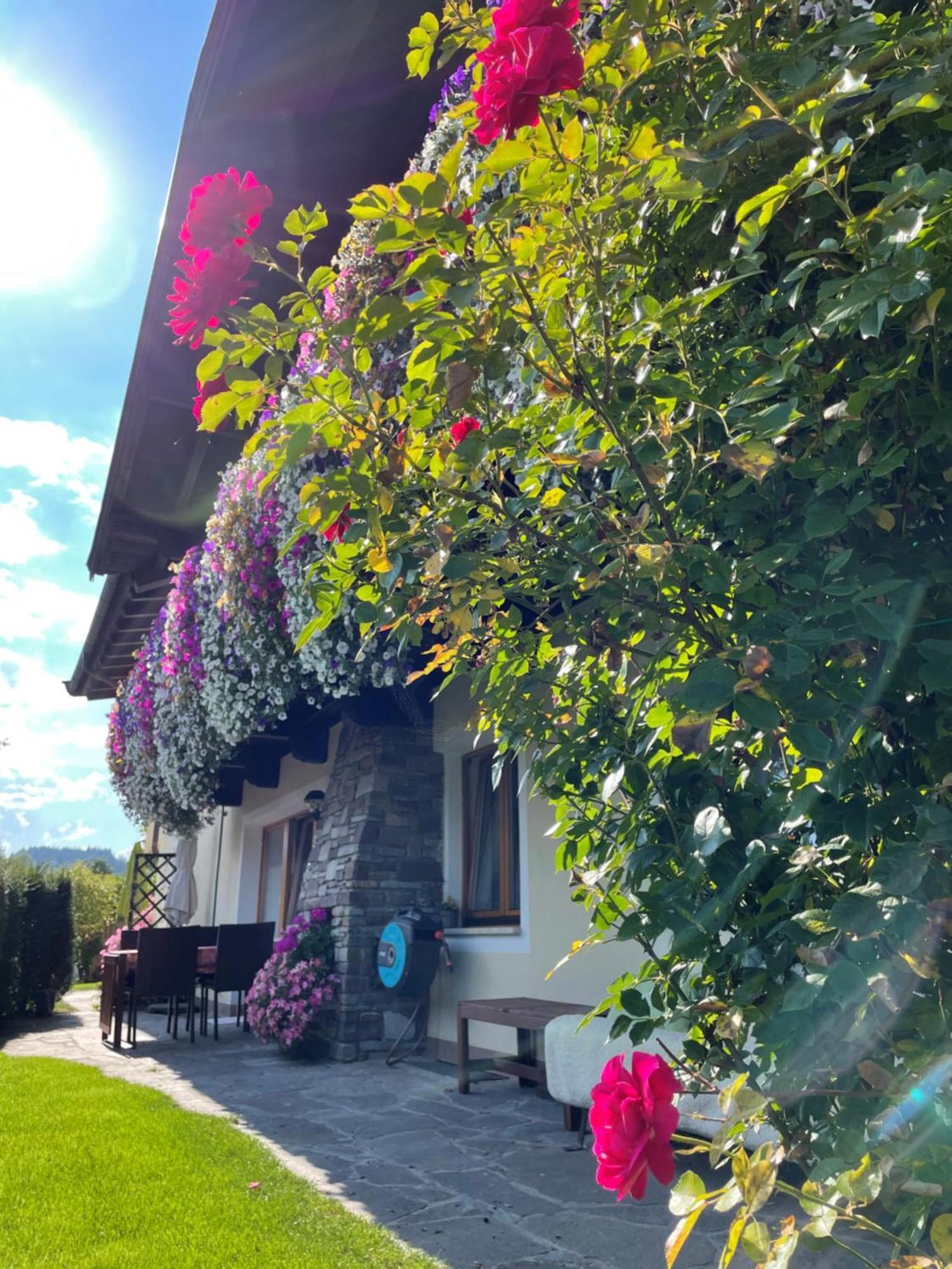 Appartements Rosengarten سول المظهر الخارجي الصورة